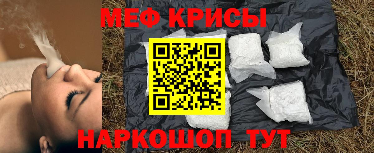 МЯУ-МЯУ мяу мяу  Вход с VPN  МЯУ-МЯУ мука  МЕФ  Белгород 