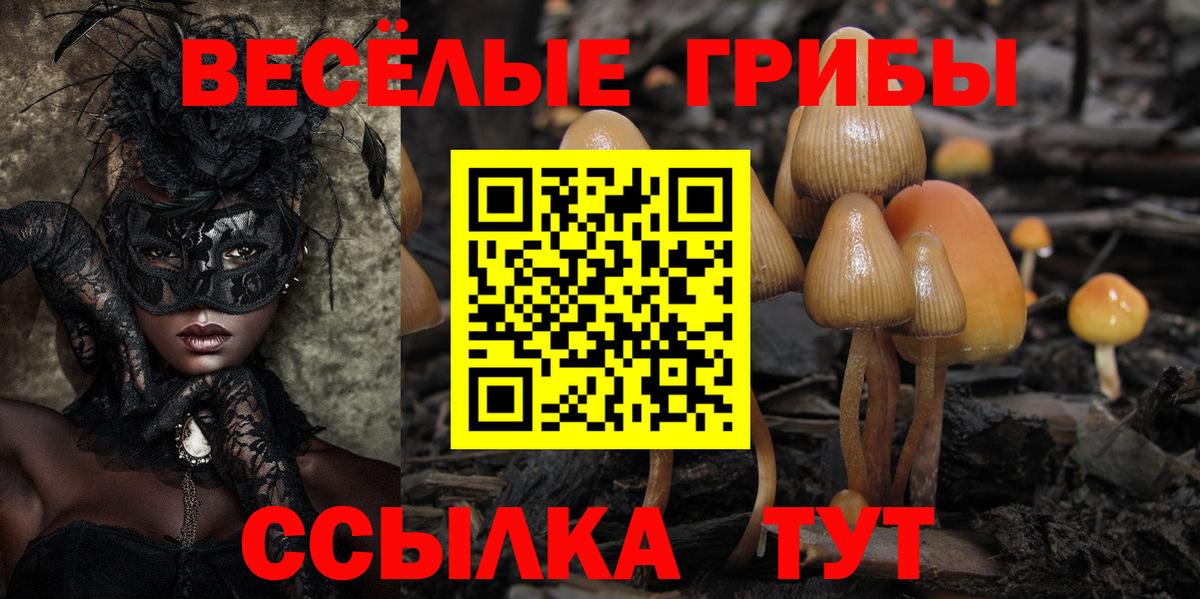 Белгород  Псилоцибиновые грибы MAGIC MUSHROOMS  Вход с VPN 