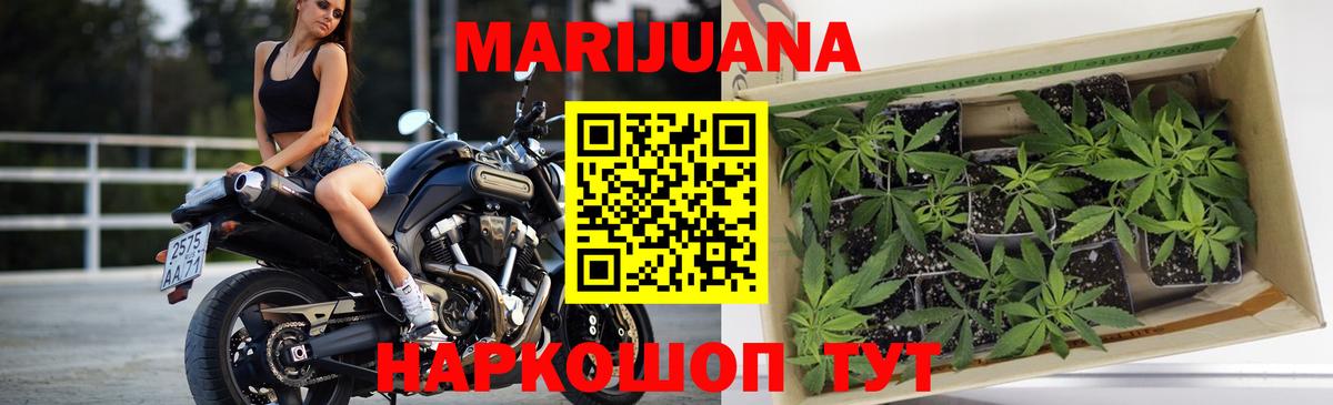 Конопля Bruce Banner Белгород